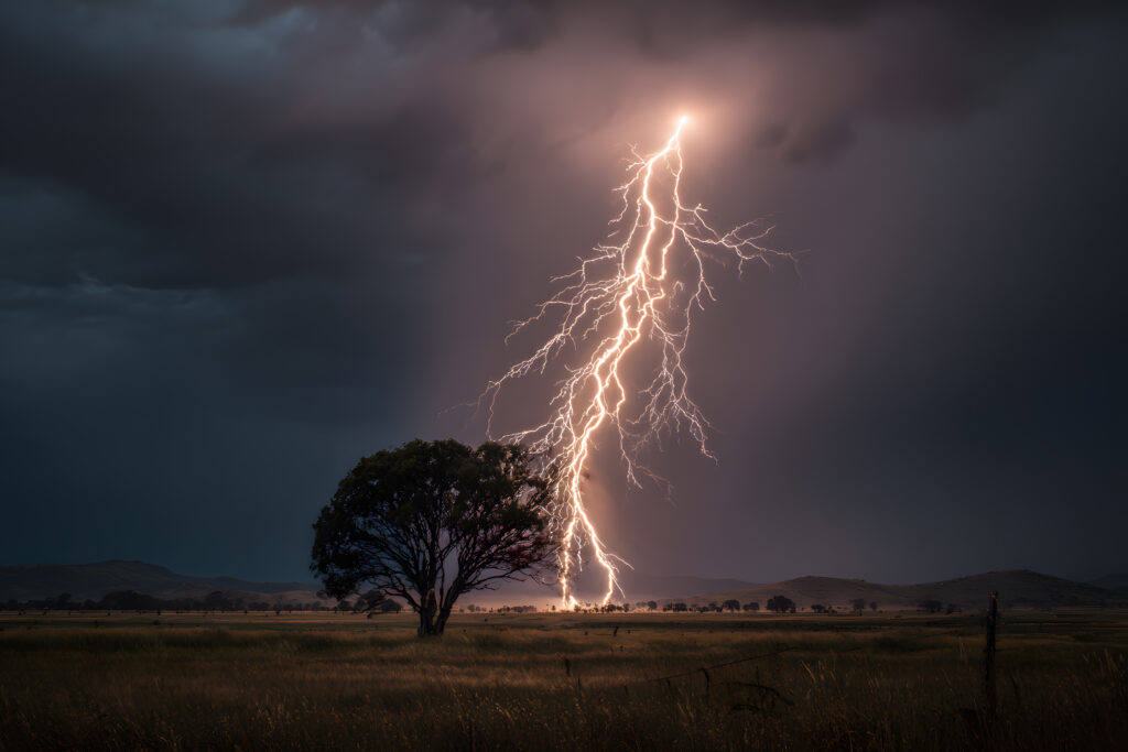 Blitz schlägt auf Feld ein mit Baum im VOrdergrund